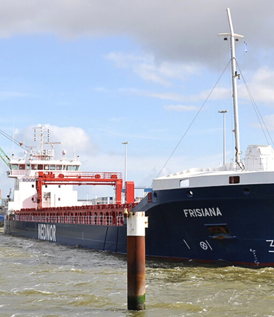 Saltwater assisted Damen with the conversion and placement of a ballast water treatment system on M/V Frisiana.