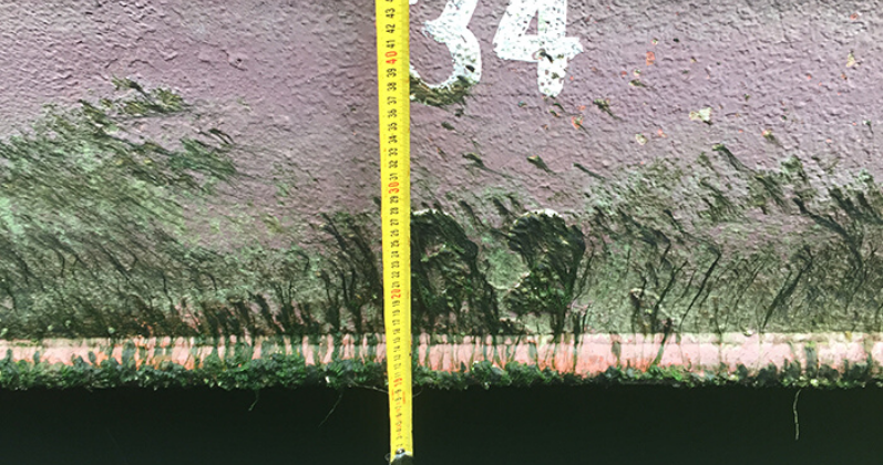 4 Vivre-G Inclination test