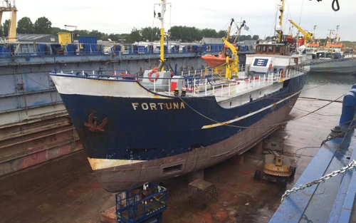2 Project Fortuna