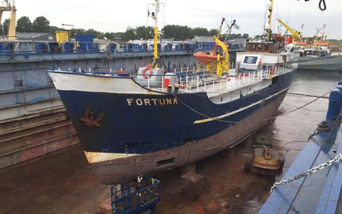 Project Fortuna