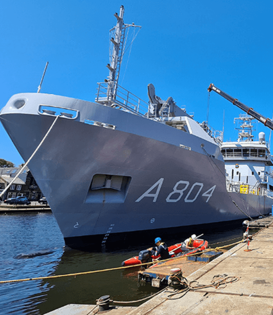 Zr. Ms. Pelikaan