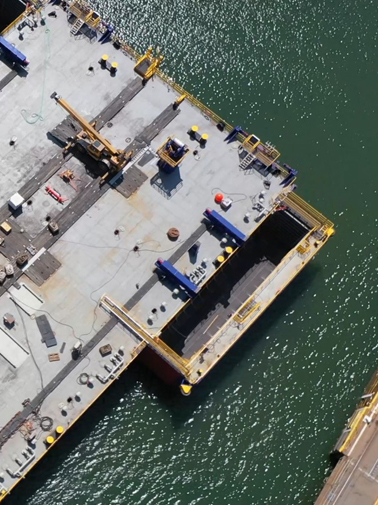 Engineering the limpet dam