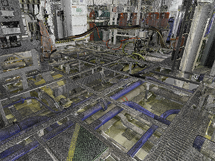 Bold Tern mob_3D scan piping